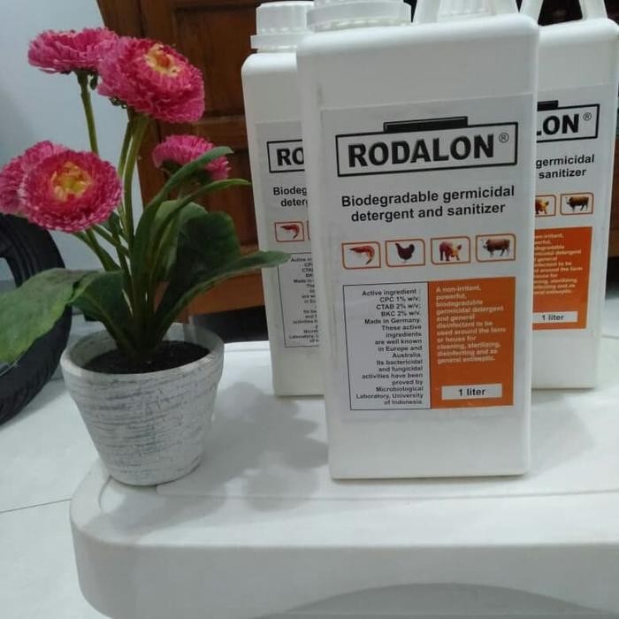 RODALON ANTISEPTIK 1 LITER