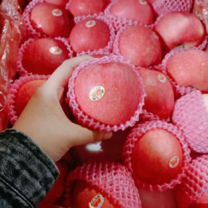 

ORIGINAL Apel Fuji 1 dus 17kg READY STOCK