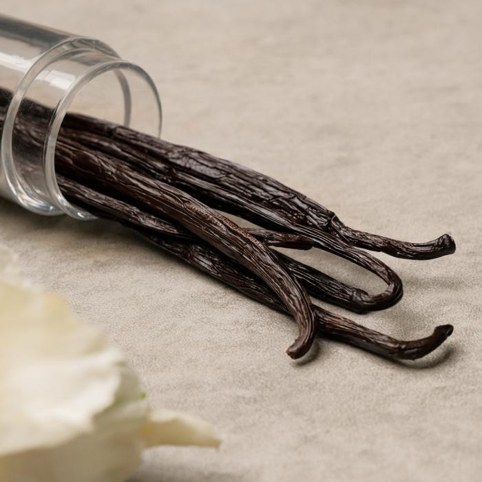 

Vanilla Bean Planifolia Gourmet Grade A 100Gr/500Gr 17-20Cm (100% Organik)