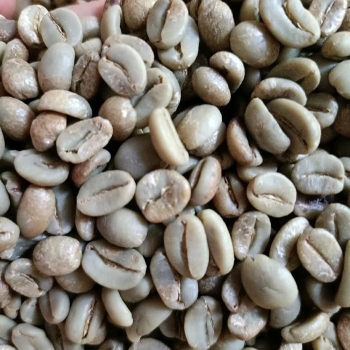 

Green Bean Arabika Gayo Proses Honey G1 Pasti Ori