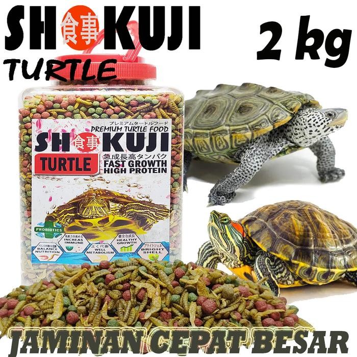 2KG SHOKUJI PELET BRAZIL RES DAMER MONBI PAKAN KURA KURA AIR BRASIL MAKANAN PELET KURAKURA AMBON