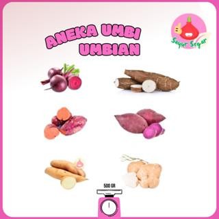 

TERLARIS Buah Bit / Ubi Ungu, Merah, Putih / Singkong / Bengkoang/ Kacang Tanah READY STOCK