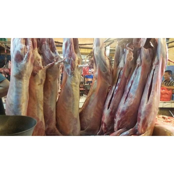 

Kambing Muda 8Kg Best Quality Asli 100% Original
