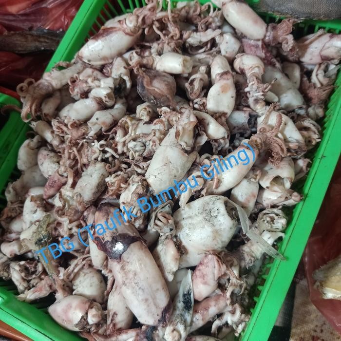 

Cumi Asin Bule 1Kg Terlaris