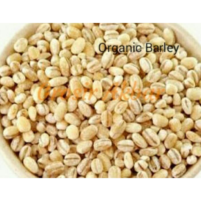 

Ready Barley 1 / Pearl Barley Premium Quality / Biji Jali Jali Terlaris