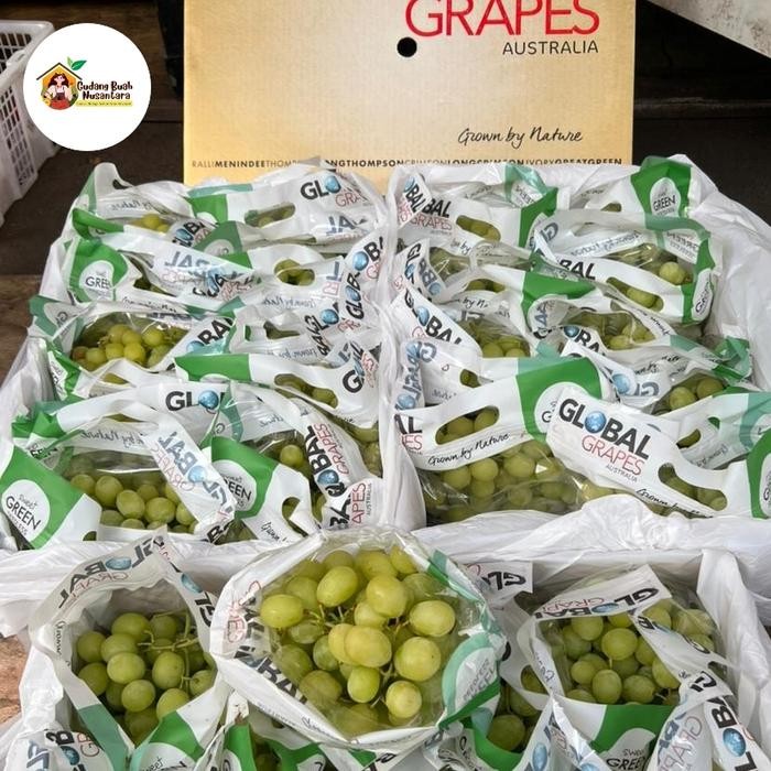 

DISKON Buah Anggur Hijau Manis Non Biji Impor Australia Anggur Autumn Crispy Green Australia READY