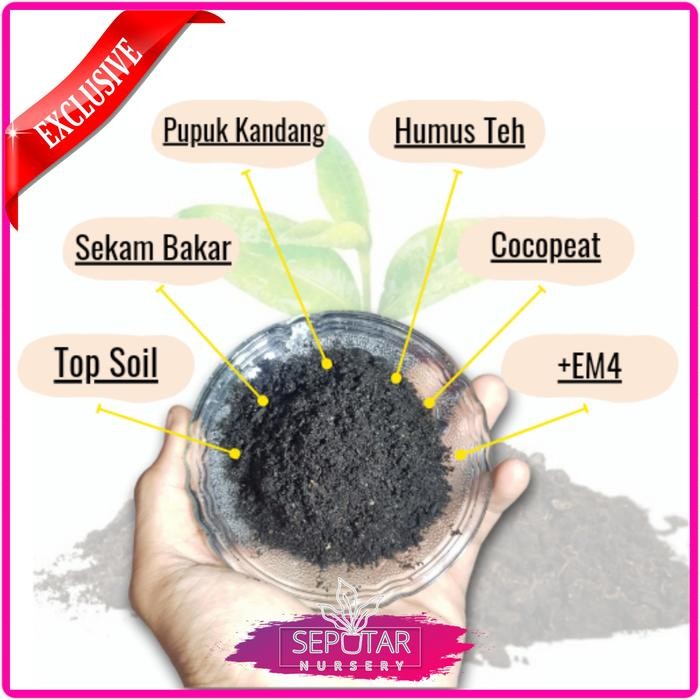 media tanam organik - media organik