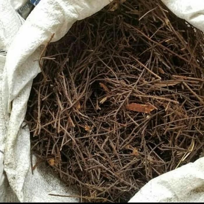 Media tanam, Akar Pakis karungan