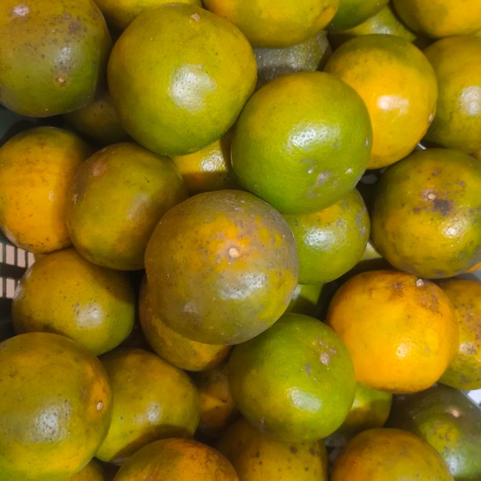 

DISKON Buah Jeruk Pontianak Jeruk Siam Pontianak Masak Jeruk Peras Grade AB READY STOCK