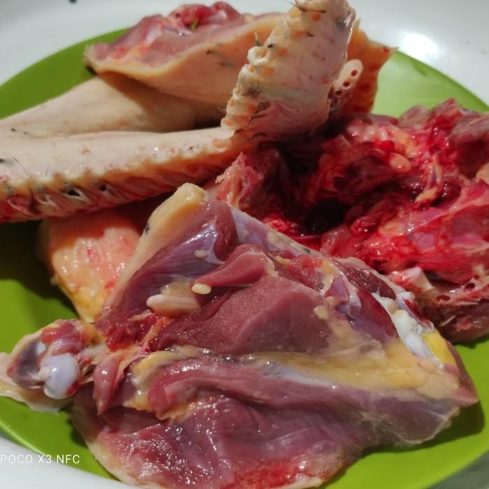 

Promo Terlaris Turkey/Kalkun 1 Kg Masak Gulai Ready