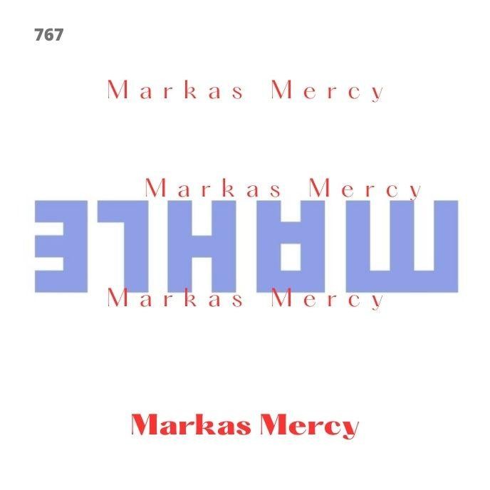 Discount Piston 300e w124 Ov50 Merk MAHLE / Ring Seker Seher Mercy O