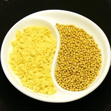 

Yellow Mustard Powder 1kg / Bubuk Mustard Kuning 1kg