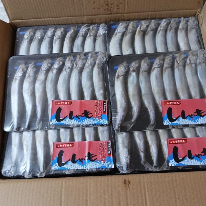 

Baru Ikan Shisamo / Capelin Premium - Frozen Siap Masak