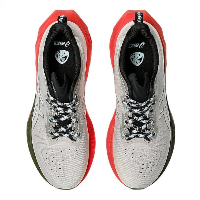 Sepatu Lari Asics Novablast 4 Tr Nature Bathing Original