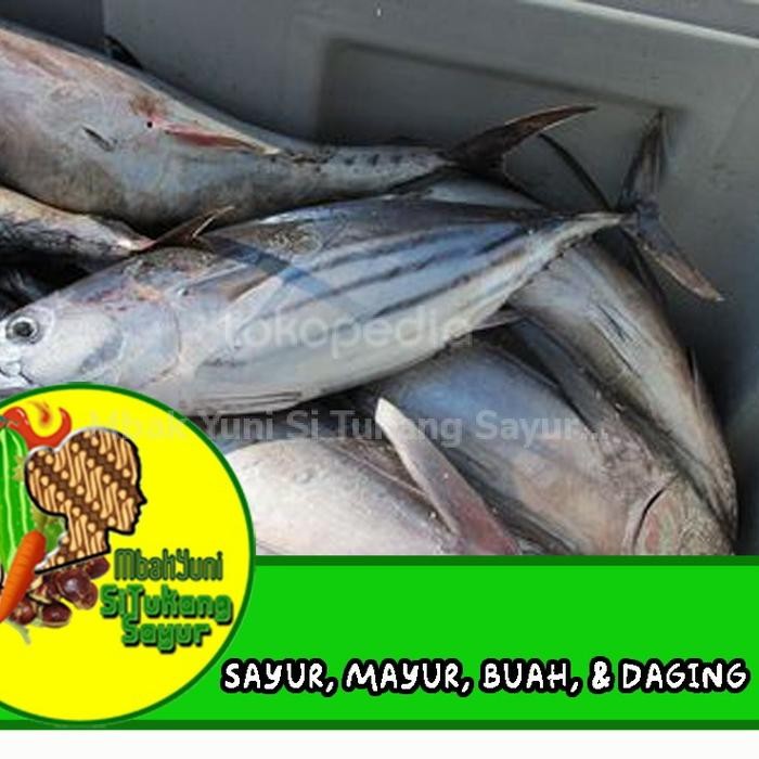 

ikan cakalang bumbu kuning ungkep 1kg frozen siap goreng stok terbatas