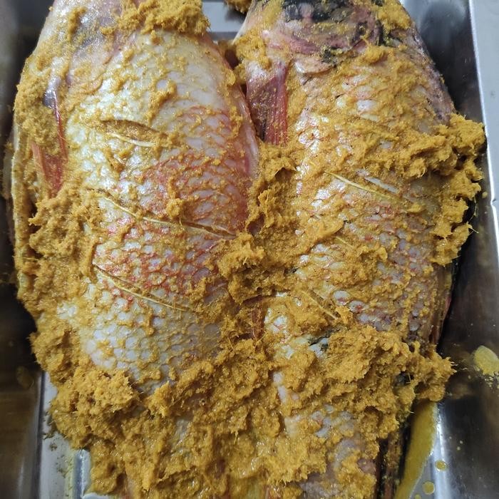 

ikan mujaer / nila bumbu kuning - siap goreng stok terbatas