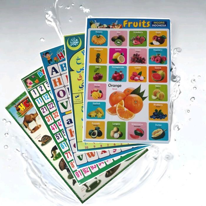 

New Paket 5 Poster Edukasi / Angka / Hurup / Hijaiyah / Hewan / Buah