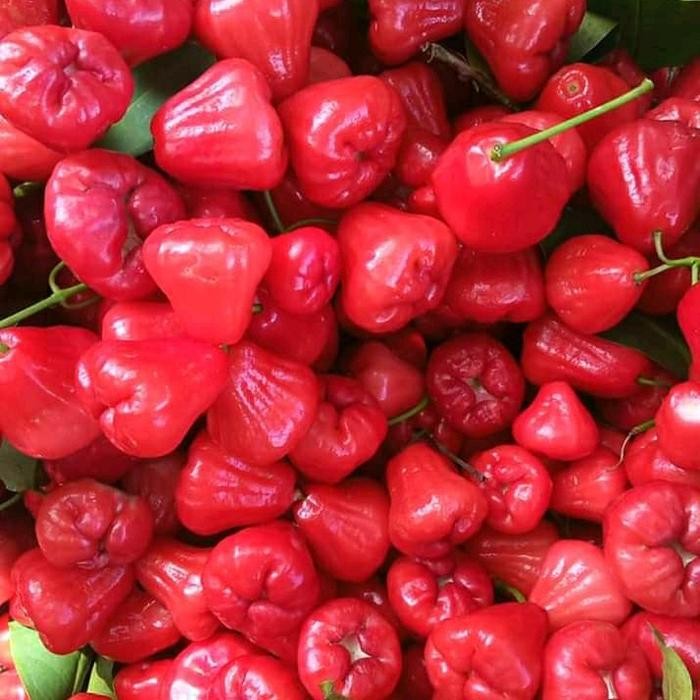 

NATURE- Buah Segar Jambu Air Rujak Per 1Kg