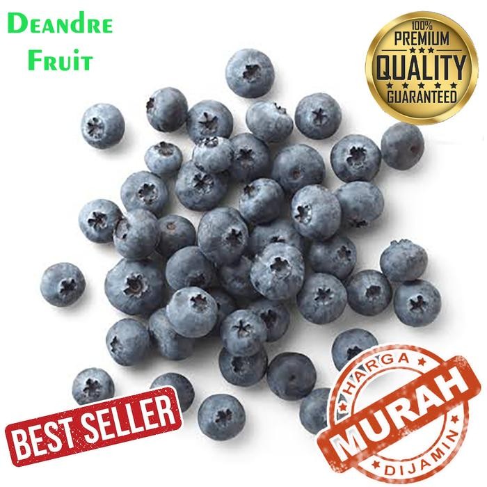 

NATURE- Promo Murah 1Kg Buah Blueberry Import Frozen Buah Beku Blue Berry