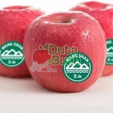 

NATURE- Apel Fuji Rrc Wangsan Premium 0.9-1Kg Buah Apel