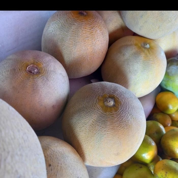 

NATURE- Buah Melon Madu Fresh( Perbuah)