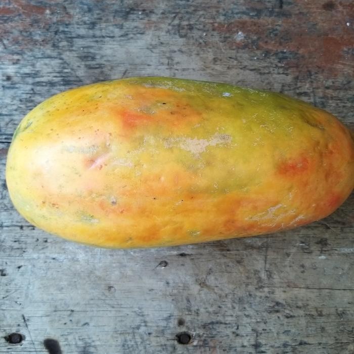 

NATURE- Pepaya California