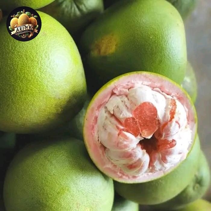 

NATURE- Jeruk Pamelo Merah (Jeruk Bali Madu)