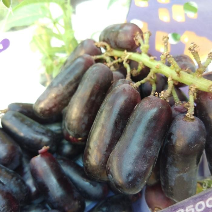 

NATURE- Anggur Moondrop Impor Usa Manis Garing 500Gr