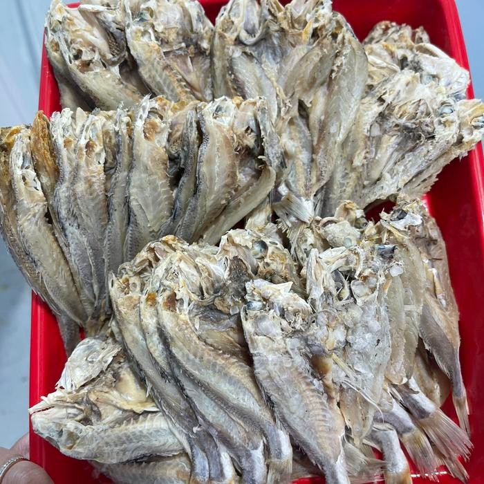 

Siap Kirim Ikan Asin Samge Belah 500gr Shopee Seafood Premium
