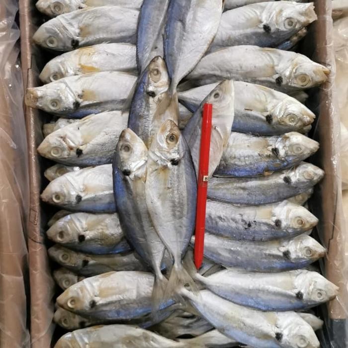 

Siap Kirim Ikan Asin Selar 1kg - Seafood Kering Premium Shopee