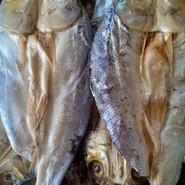 

Siap Kirim Ikan Asin Bandeng Utuh 1kg - Ikan Laut Kering