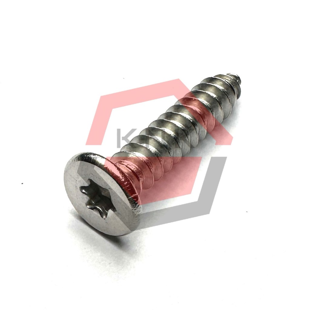 SKRUP STAINLESS THIN HEAD TORX 5x25