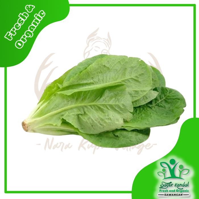 

LUXEHEALTH- Fresh Selada Romain Hijau - Sayur Kendal Sawangan