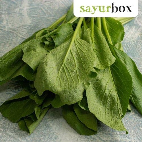 

LUXEHEALTH- Sawi Hijau Bulk 1Kg 1 Kg Sayurbox