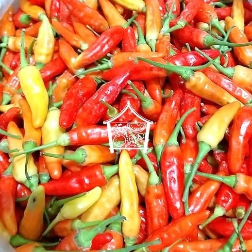 

LUXEHEALTH- Cabe Rawit Merah Cabe Setan 1Kg Pilihan Hemat