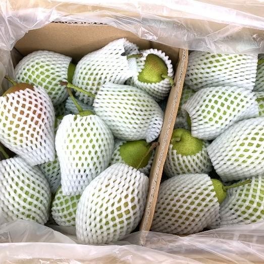 

buah pear xianglie import 1 dus