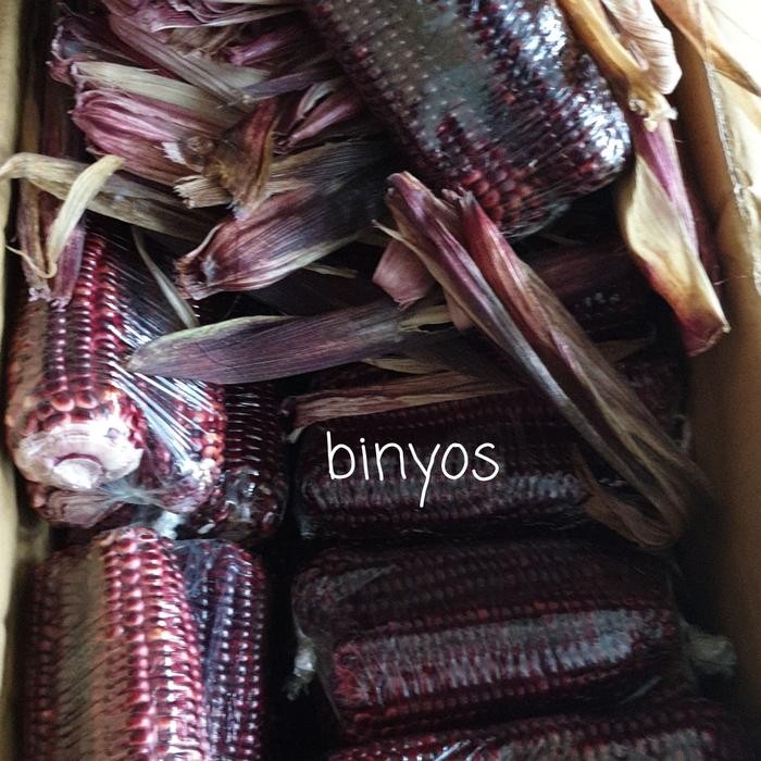 

Pilihan- Jagung Ketan Ungu Segar Per Pack