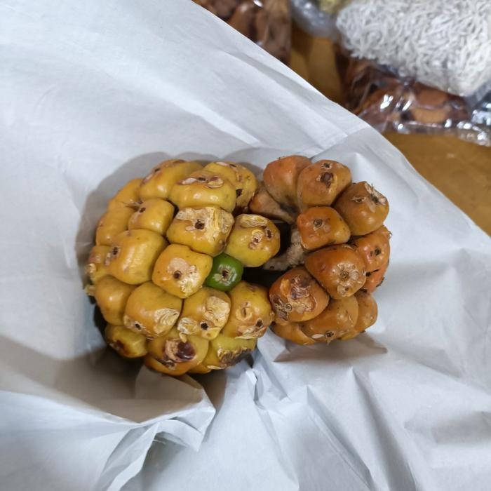 

Pilihan- Cikala / Patikala / Buah Kecombrang 1Kg