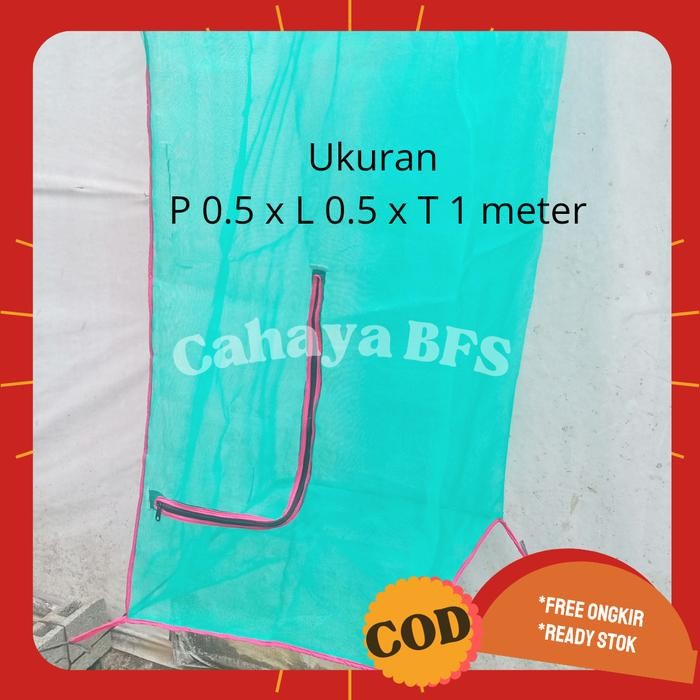 Kandang bsf magot maggot lalat bsf