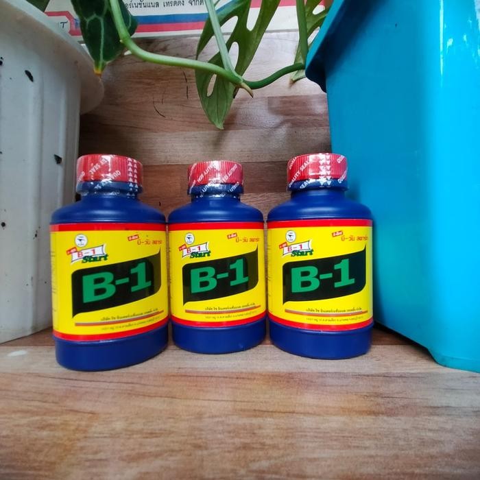 vitamin tanaman dan akar B1 thailand original