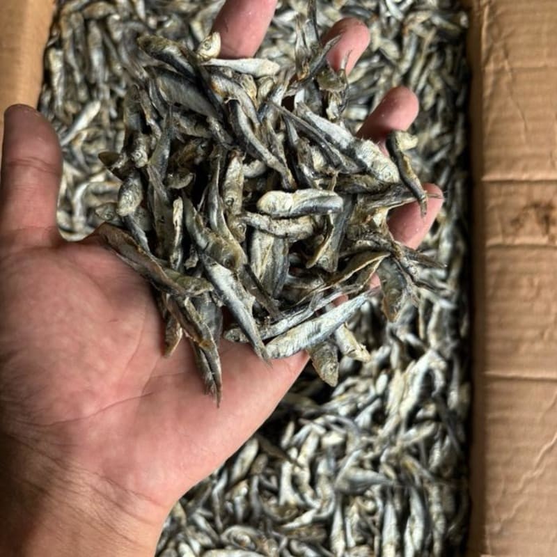 

Teri Batu / Teri Samenit / Teri Hitam 1000gr