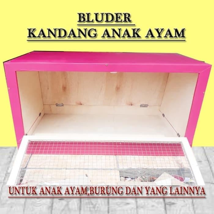 kandang anak ayam inkubator
