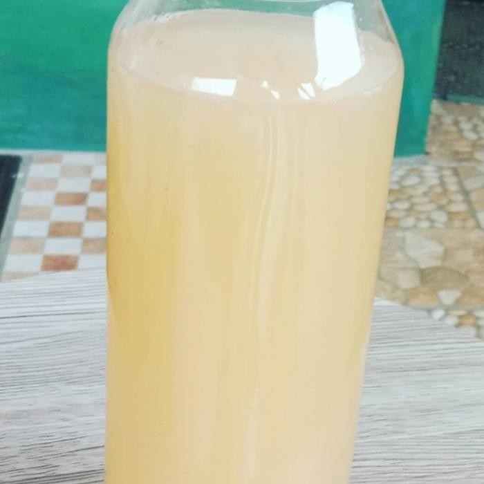 

Pilihan- Cuka Apel 250 Ml, Home Made.