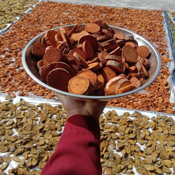 

Promo Akar Bajakah Tampala Super Borneo Original Terlaris