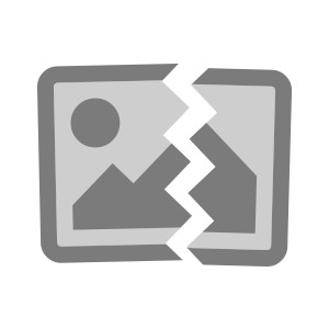 Equaliser Ashley MQX 215 Original