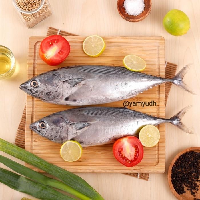 

(Expert) Ikan Tongkol Putih/Ikan Tuna 1kg