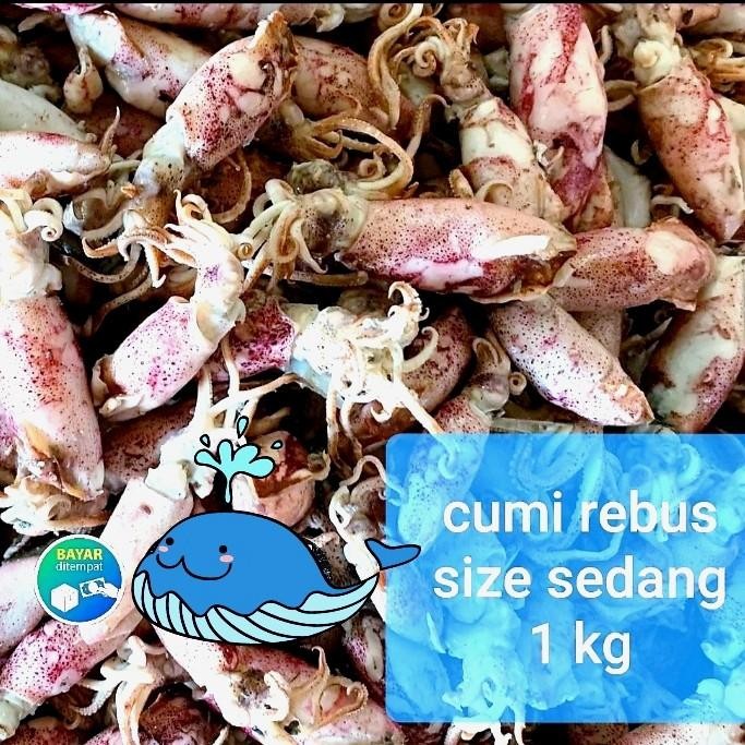 

(Expert) cumi rebus / sotong ukuran sedang 250 gram