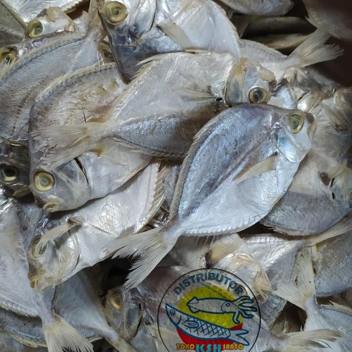 

Ikan Asin Petek Besar 1Kg