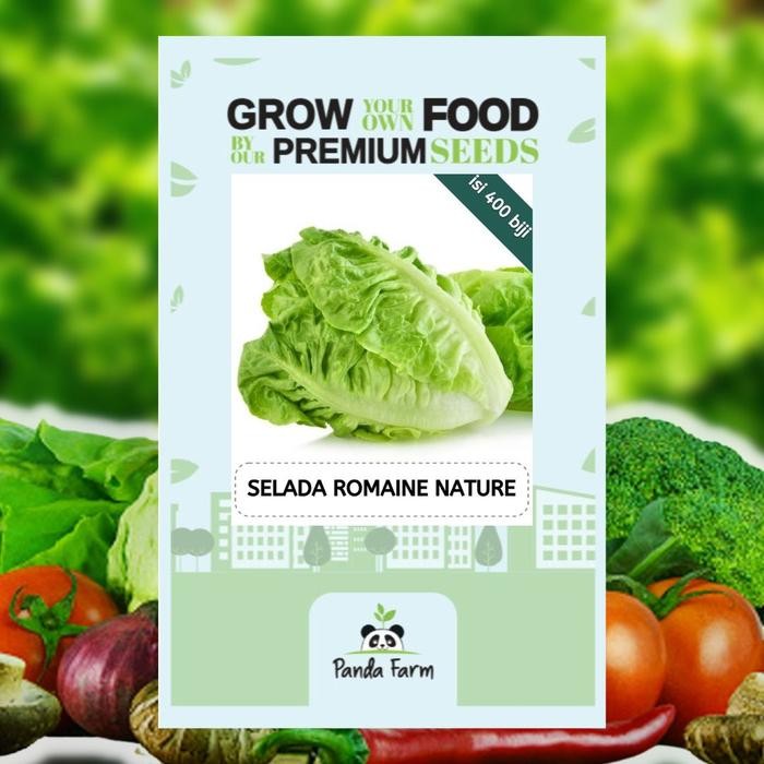 Benih Selada Romaine Nature Terlaris