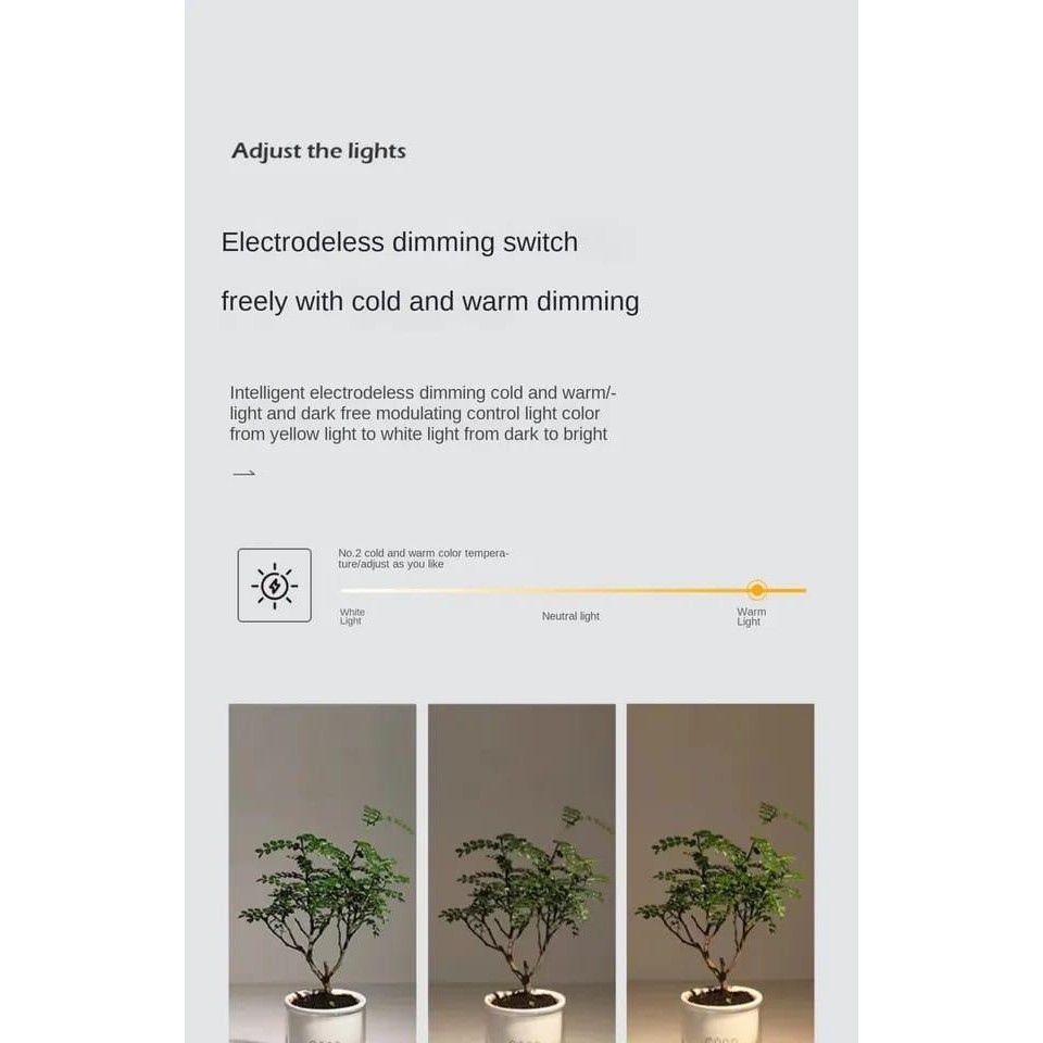 Lampu Hias Ruang Tamu Mewah Dan Elegan / Lampu Hias